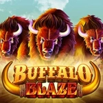Buffalo Blaze